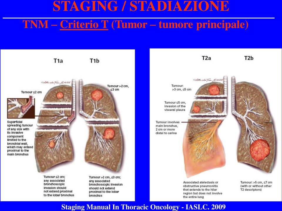 2009 STAGING / STADIAZIONE