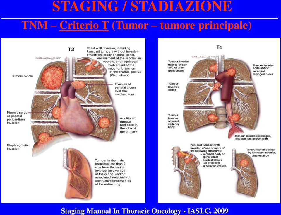 2009 STAGING / STADIAZIONE