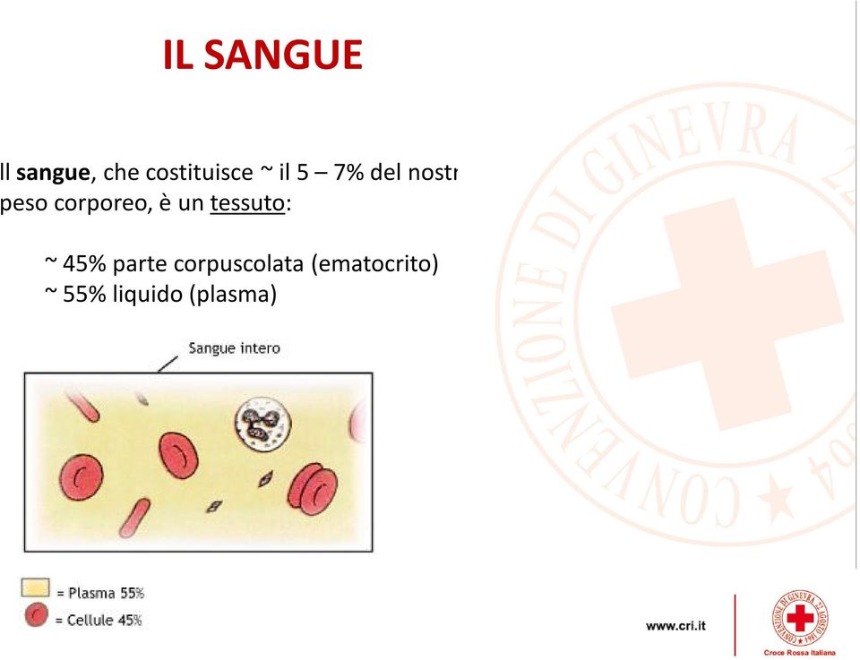 è un tessuto: ~ 45% parte