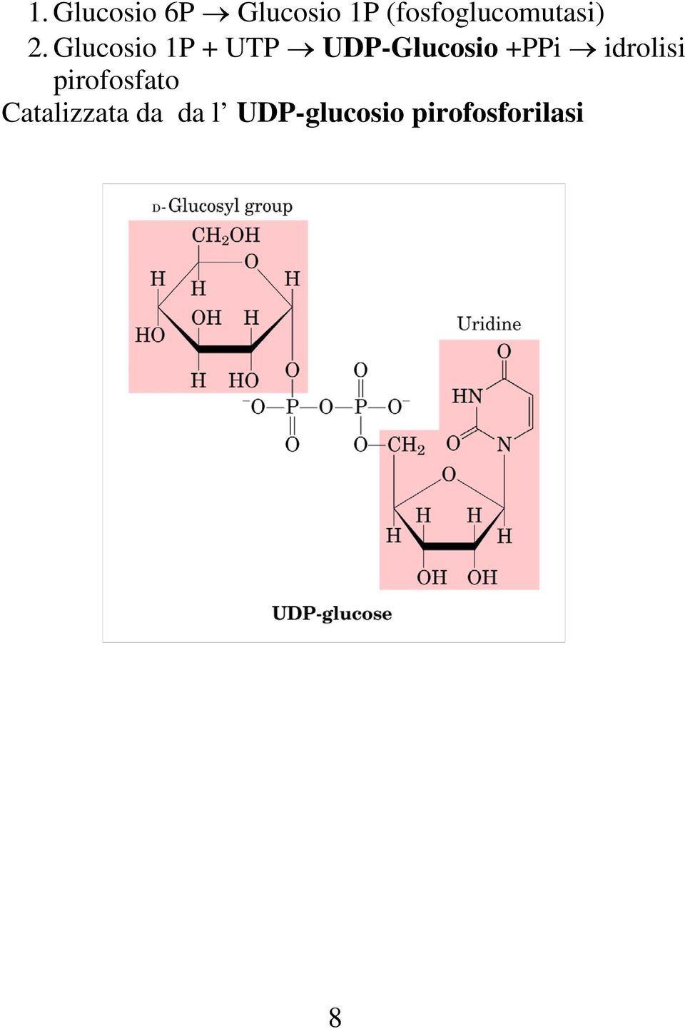Glucosio 1P + UTP UDP-Glucosio +PPi