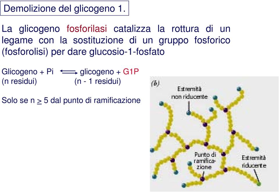 sostituzione di un gruppo fosforico (fosforolisi) per dare