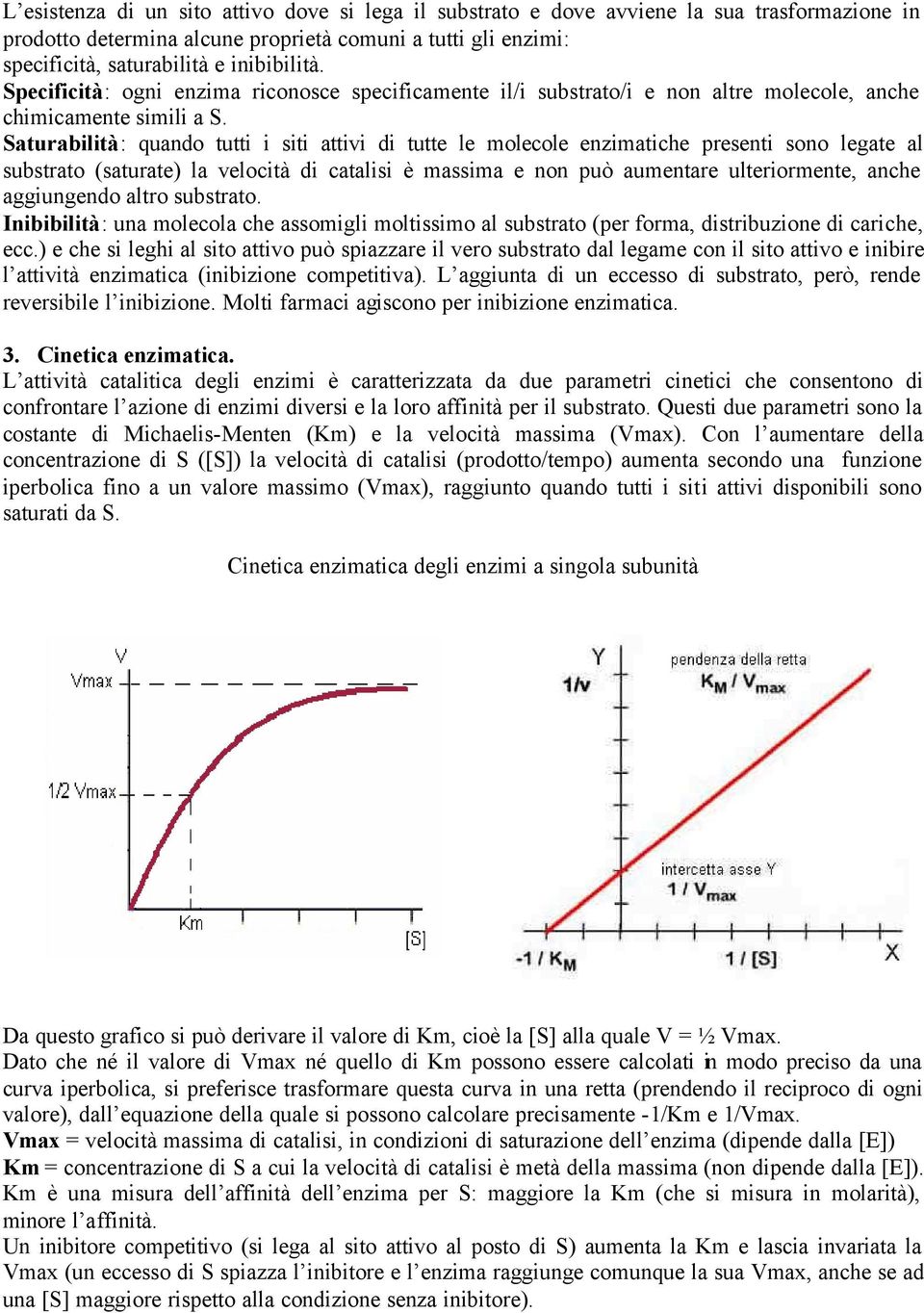 Saturabilità: quando tutti i siti attivi di tutte le molecole enzimatiche presenti sono legate al substrato (saturate) la velocità di catalisi è massima e non può aumentare ulteriormente, anche