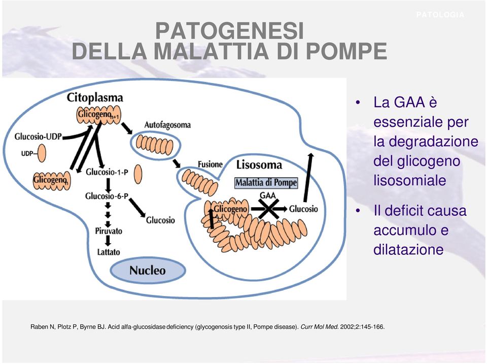 dilatazione Raben N, Plotz P, Byrne BJ.