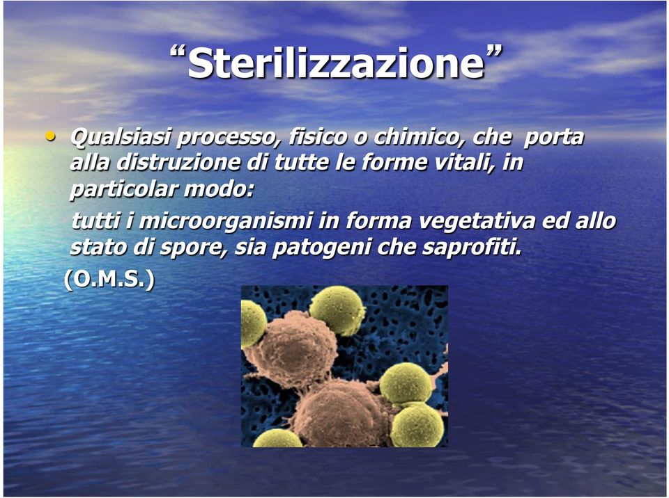 particolar modo: tutti i microorganismi in forma