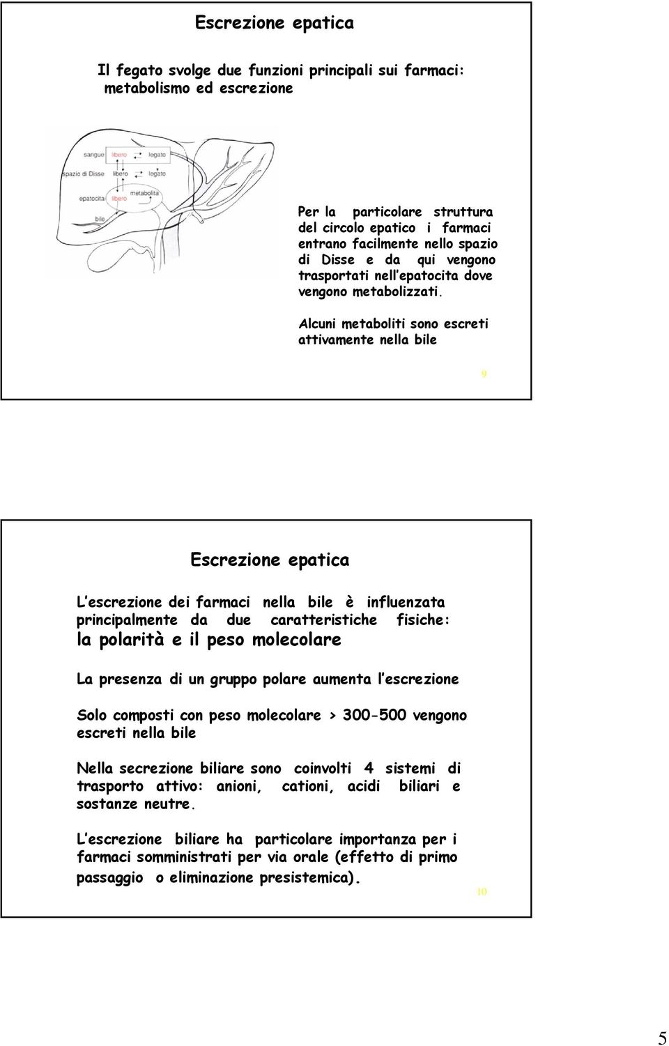 Alcuni metaboliti sono escreti attivamente nella bile 9 Escrezione epatica L escrezione dei farmaci nella bile è influenzata principalmente da due caratteristiche fisiche: la polarità e il peso