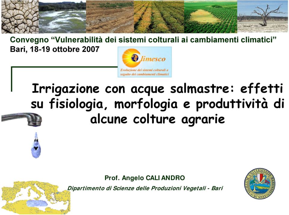 fisiologia, morfologia e produttività di alcune colture agrarie Prof.