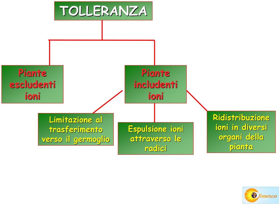 includenti ioni Espulsione ioni attraverso le