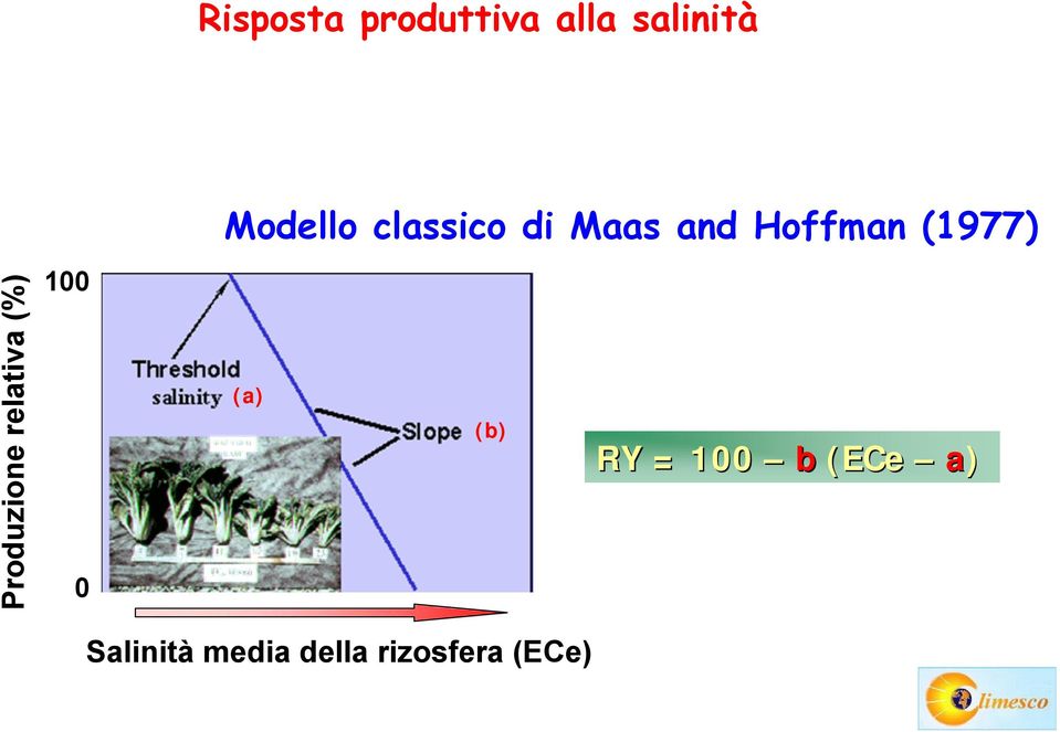 classico di Maas and Hoffman (1977) (a)