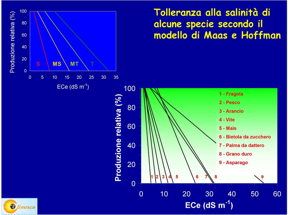 ECe (ds m -1 ) 1 - Fragola 1 - Strawberry 2 - Pesco2 - Peach 3 - Arancio 3 - Orange 4 - Vite 4 - Grape 5 - Maize 5 - Mais 6 - Sugar