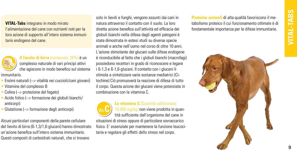 Enzimi naturali (--> vitalità nei cuccioli/cani giovani) Vitamine del complesso B Colina (--> protezione del fegato) Acido folico (--> formazione dei globuli bianchi/ anticorpi) Glutatione (-->