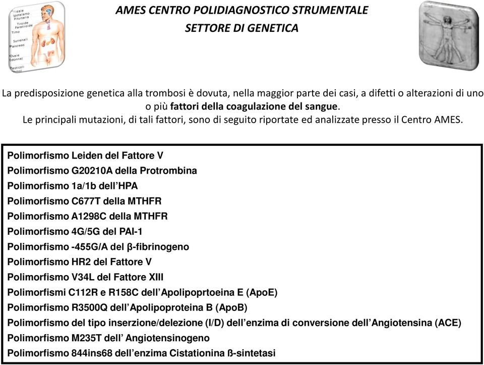 Polimorfismo Leiden del Fattore V Polimorfismo G20210A della Protrombina Polimorfismo 1a/1b dell HPA Polimorfismo C677T della MTHFR Polimorfismo A1298C della MTHFR Polimorfismo 4G/5G del PAI-1