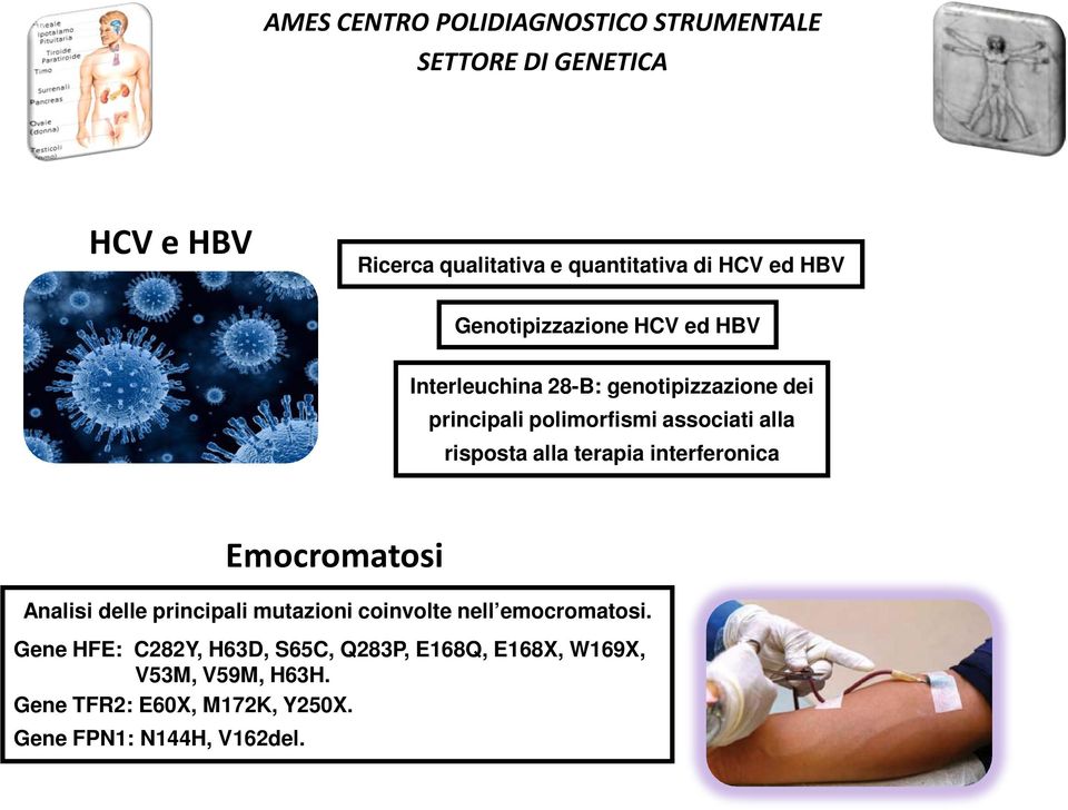 Emocromatosi Analisi delle principali mutazioni coinvolte nell emocromatosi.