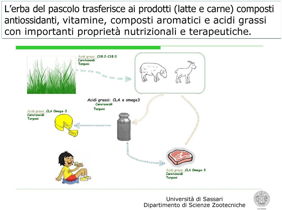 vitamine, composti aromatici e acidi grassi