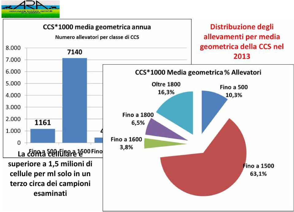 campioni esaminati Distribuzione degli