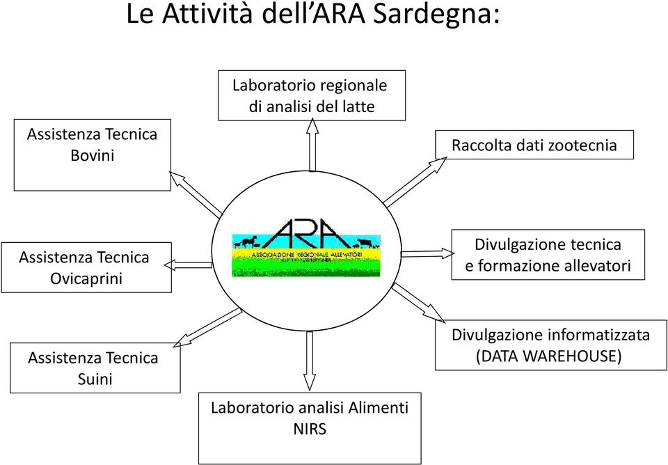 Ovicaprini Divulgazione tecnica e formazione allevatori Assistenza Tecnica