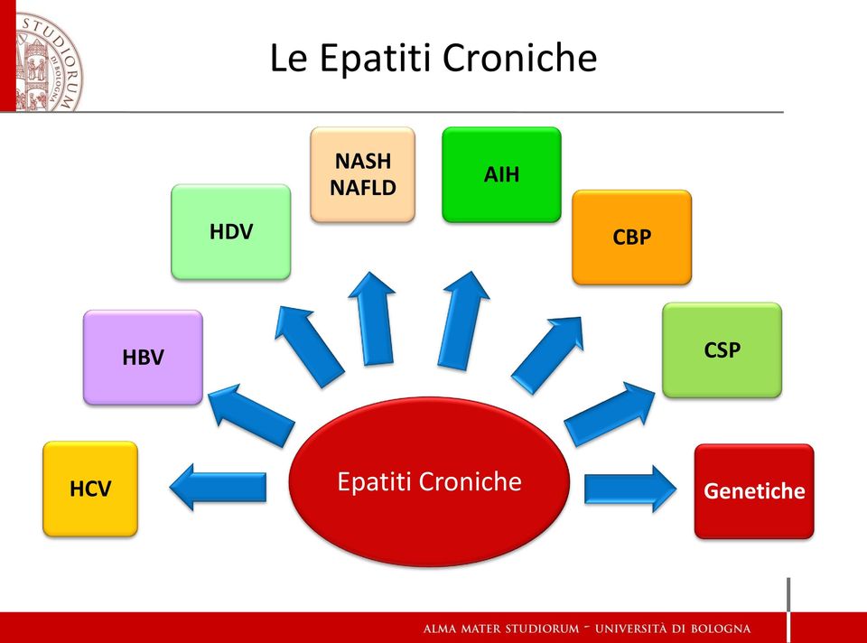 CBP HBV CSP HCV