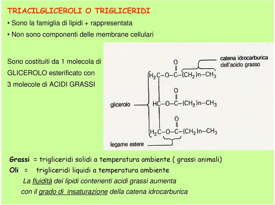 trigliceridi solidi a temperatura ambiente ( grassi animali) Oli = trigliceridi liquidi a temperatura