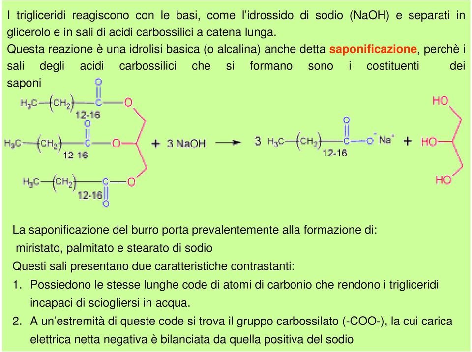 burro porta prevalentemente alla formazione di: miristato, palmitato e stearato di sodio Questi sali presentano due caratteristiche contrastanti: 1.