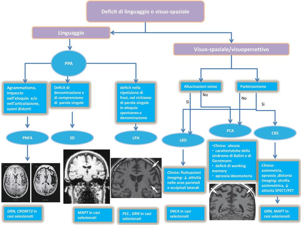 Clinica: fluttuazioni Imaging: attività nelle aree parietali e occipitali laterali PCA Clinica: alessia caratteristiche della sindrome di Balint e di Gerstmann deficit di working memory aprassia