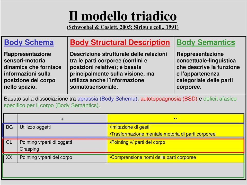 somatosensoriale. Body Semantics Rappresentazione concettuale-linguistica che descrive la funzione e l appartenenza categoriale delle parti corporee.