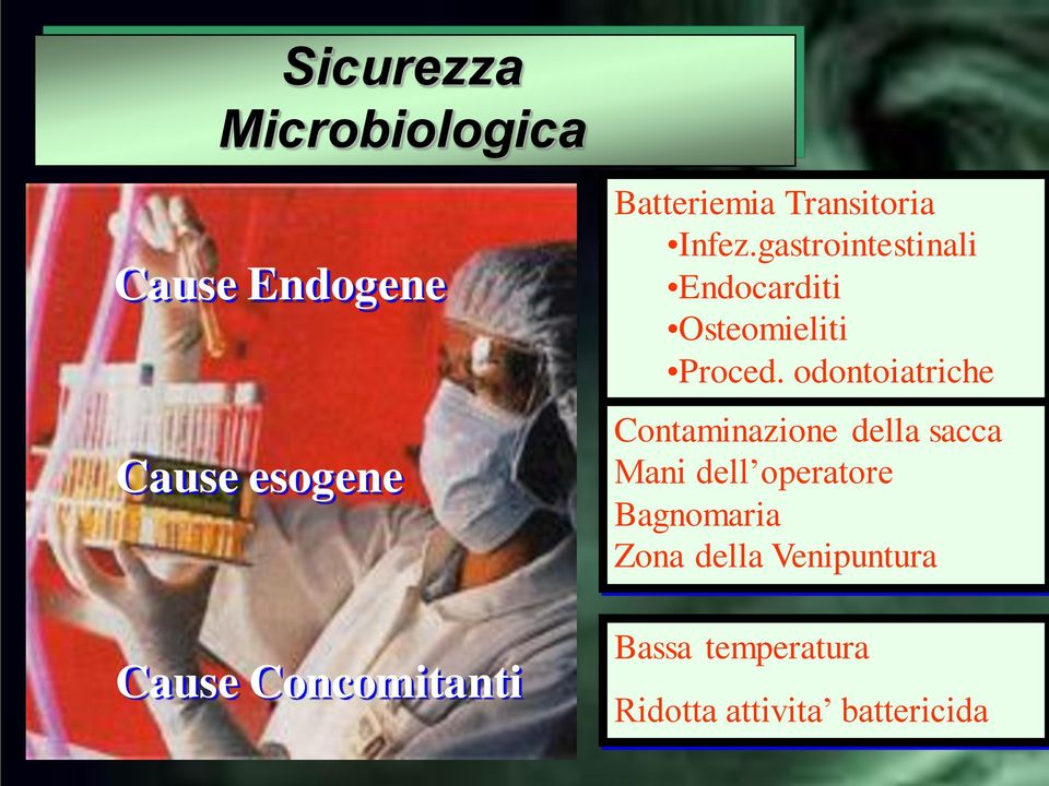 gastrointestinali Endocarditi Osteomieliti Proced.