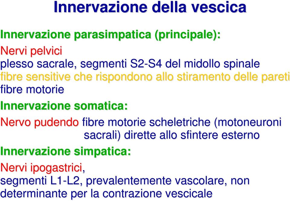 somatica: Nervo pudendo fibre motorie scheletriche (motoneuroni sacrali) dirette allo sfintere esterno Innervazione