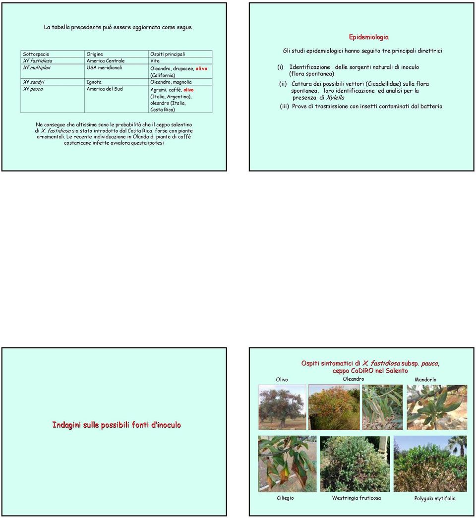 principali direttrici (ii) Identificazione delle sorgenti naturali di inoculo (flora spontanea) Cattura dei possibili vettori (Cicadellidae) sulla flora spontanea, loro identificazione ed analisi per