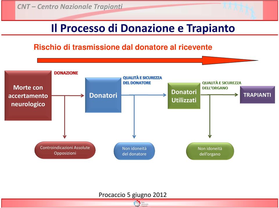 accertamento neurologico Donatori Donatori Utilizzati TRAPIANTI