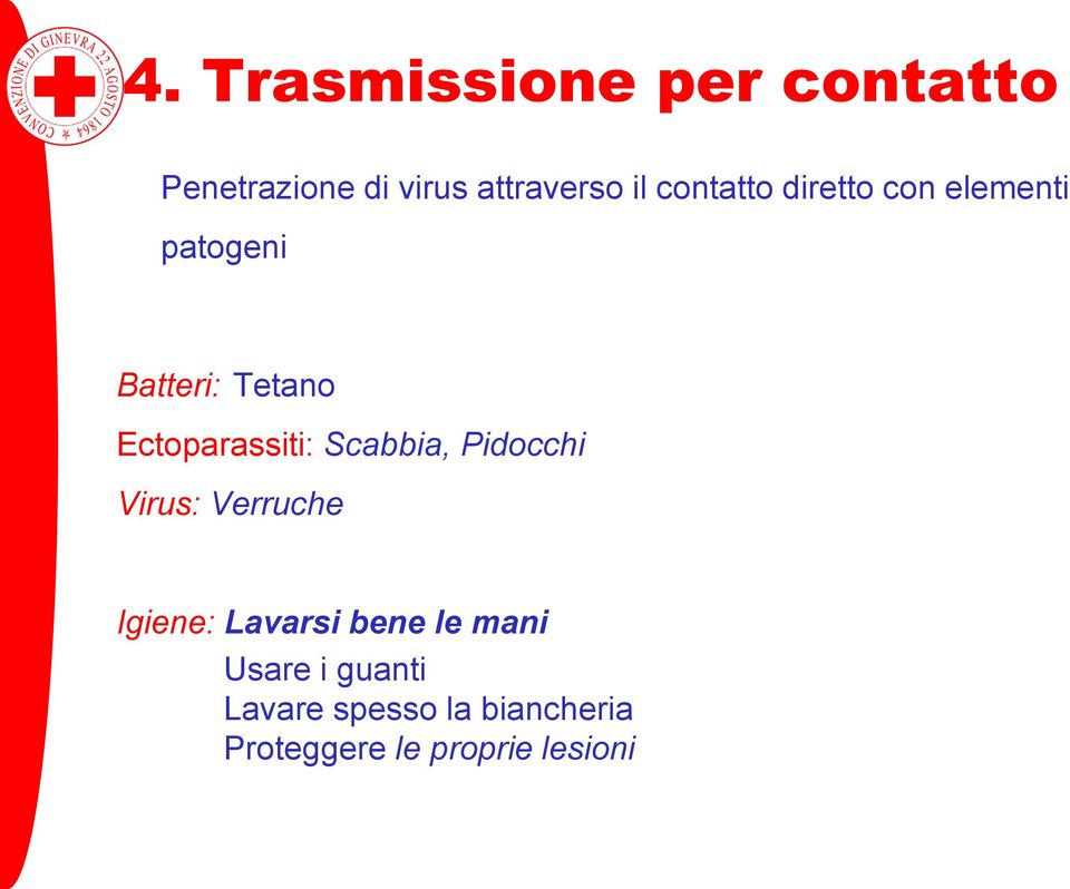 Ectoparassiti: Scabbia, Pidocchi Virus: Verruche Igiene: Lavarsi