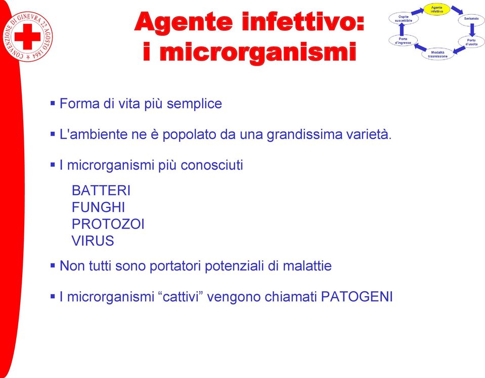 I microrganismi più conosciuti BATTERI FUNGHI PROTOZOI VIRUS Non