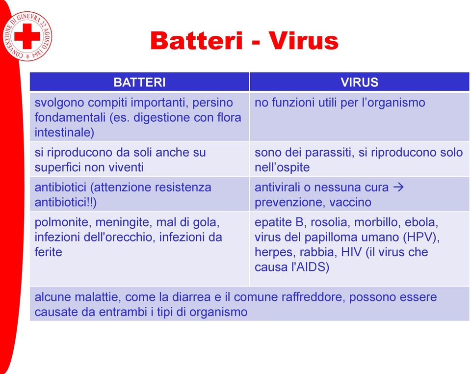 !) polmonite, meningite, mal di gola, infezioni dell'orecchio, infezioni da ferite VIRUS no funzioni utili per l organismo sono dei parassiti, si riproducono solo