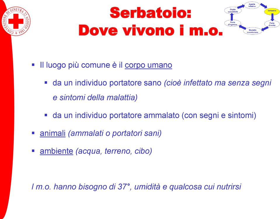 sano (cioè infettato ma senza segni e sintomi della malattia) da un individuo