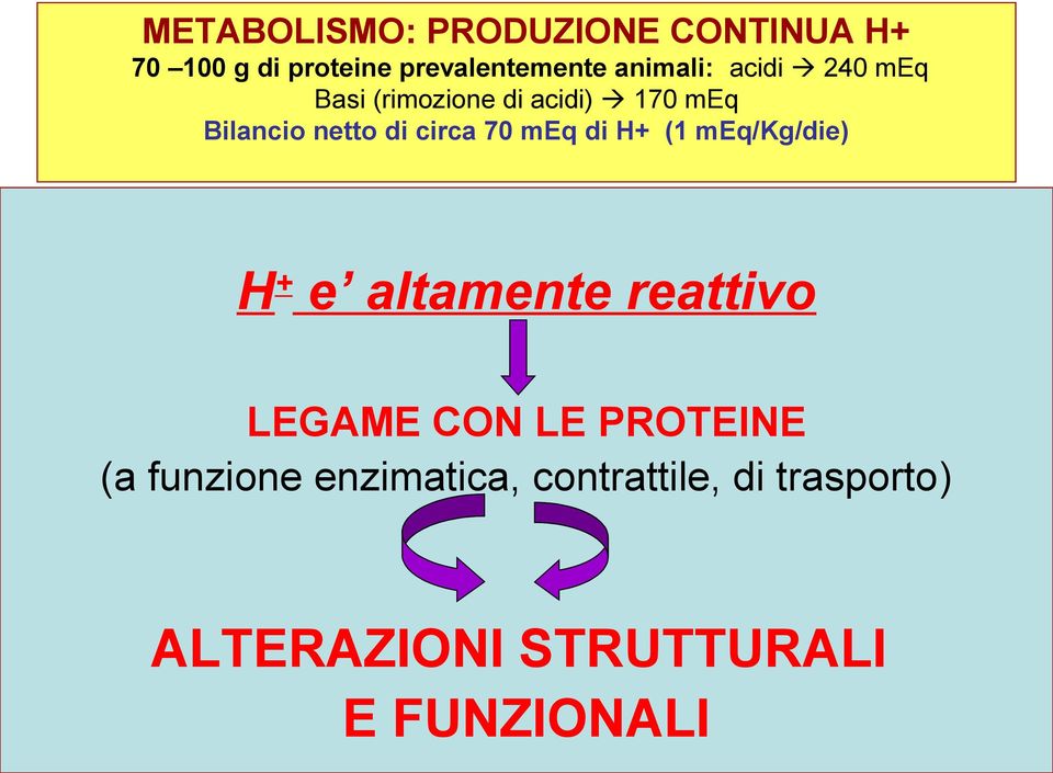 circa 70 meq di H+ (1 meq/kg/die) H+ e altamente reattivo LEGAME CON LE