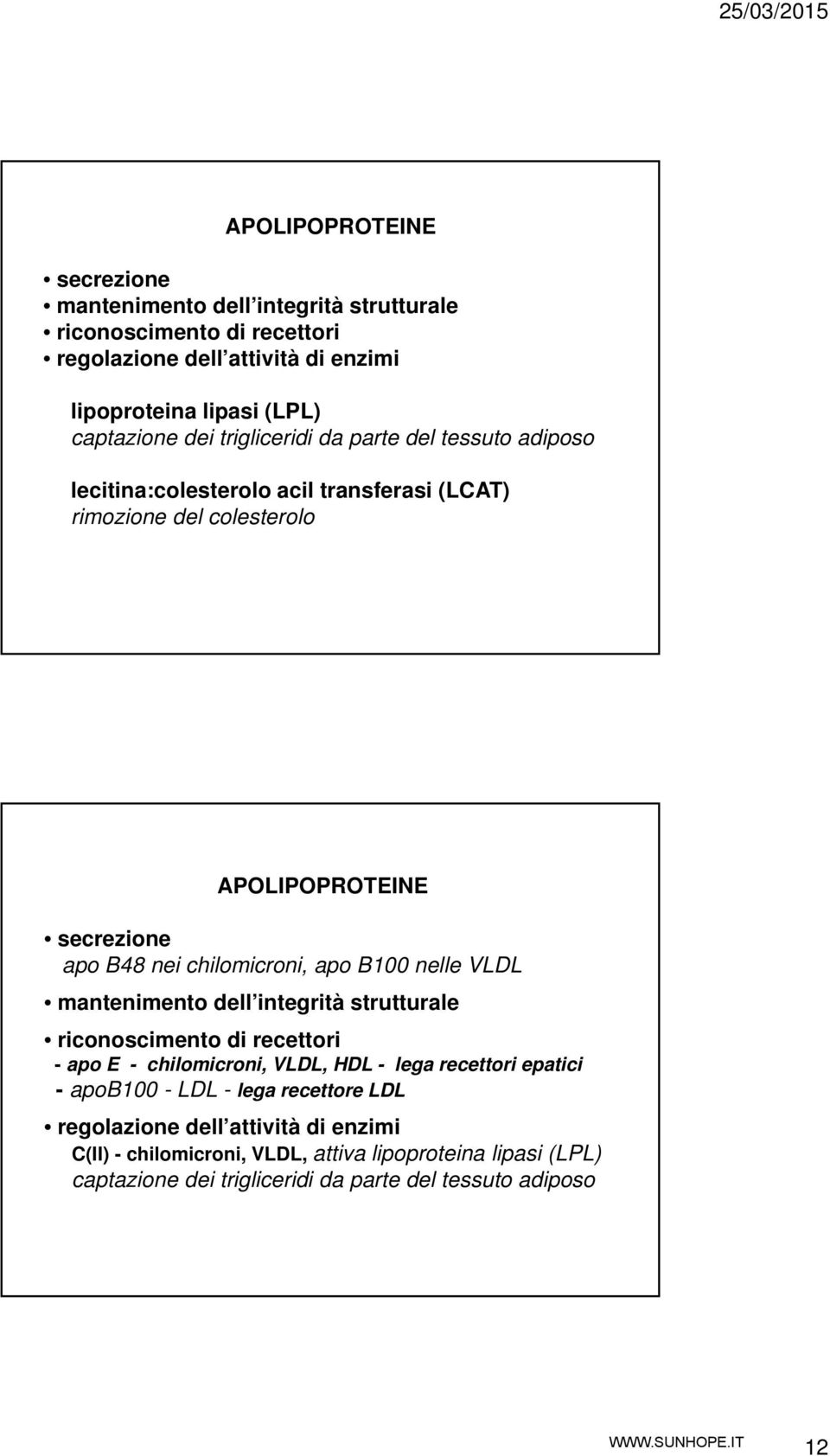 apo B100 nelle VLDL mantenimento dell integrità strutturale riconoscimento di recettori - apo E - chilomicroni, VLDL, HDL - lega recettori epatici - apob100 - LDL - lega