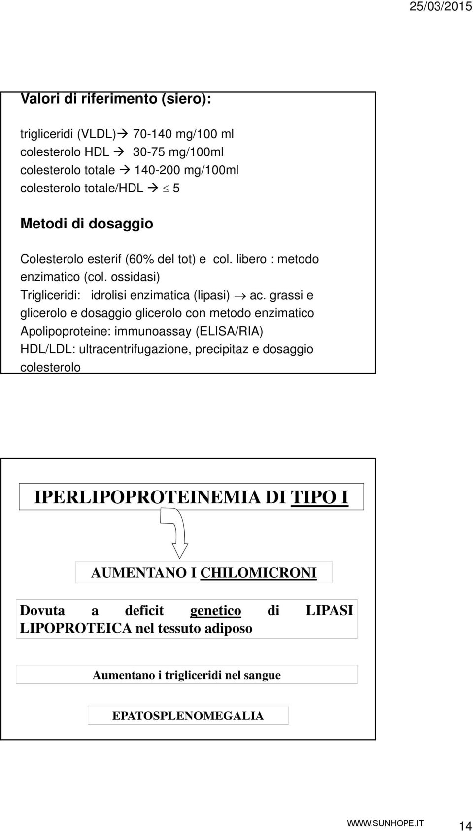 grassi e glicerolo e dosaggio glicerolo con metodo enzimatico Apolipoproteine: immunoassay (ELISA/RIA) HDL/LDL: ultracentrifugazione, precipitaz e dosaggio