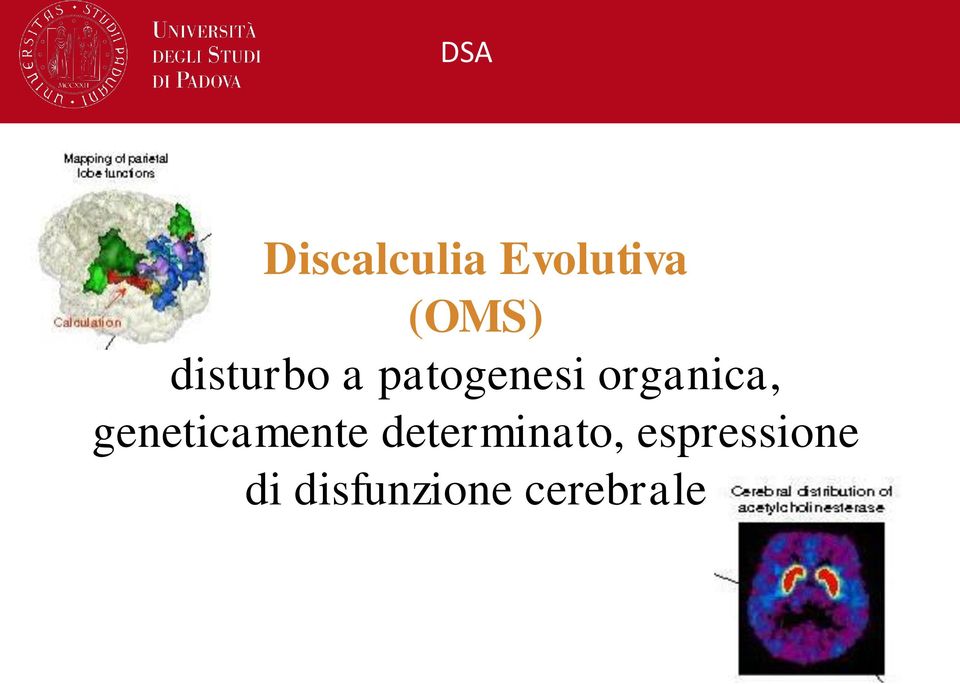 geneticamente determinato,