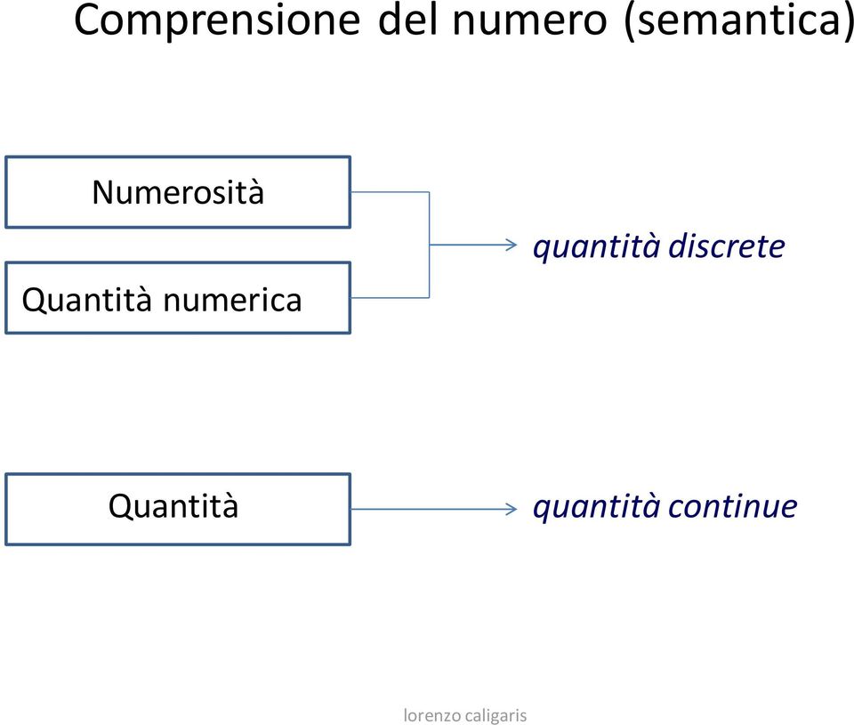 Quantità numerica quantità