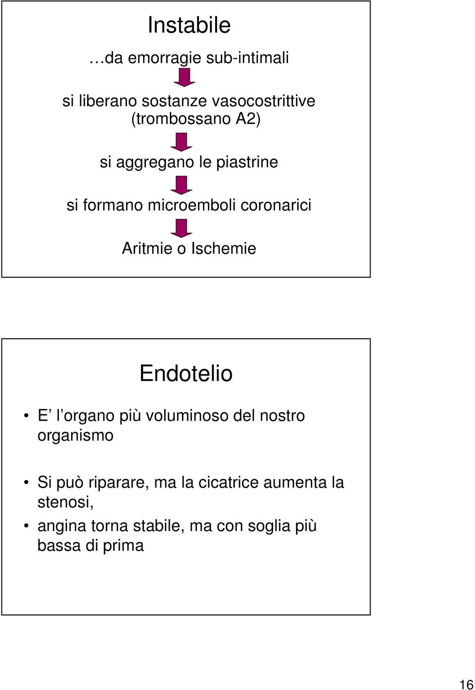 Aritmie o Ischemie Endotelio E l organo più voluminoso del nostro organismo Si può