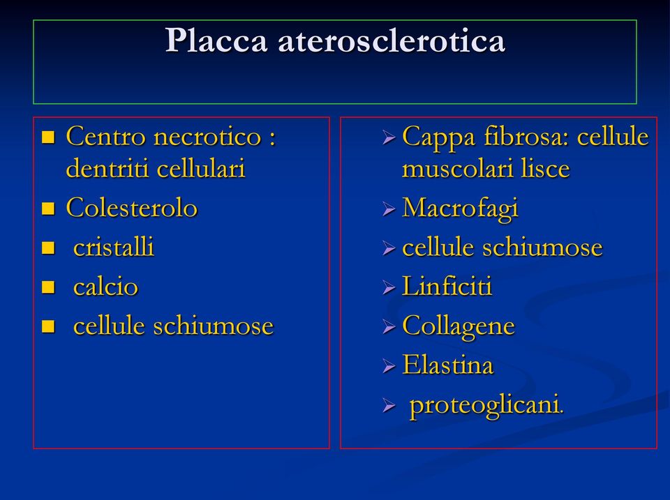 schiumose Cappa fibrosa: cellule muscolari lisce