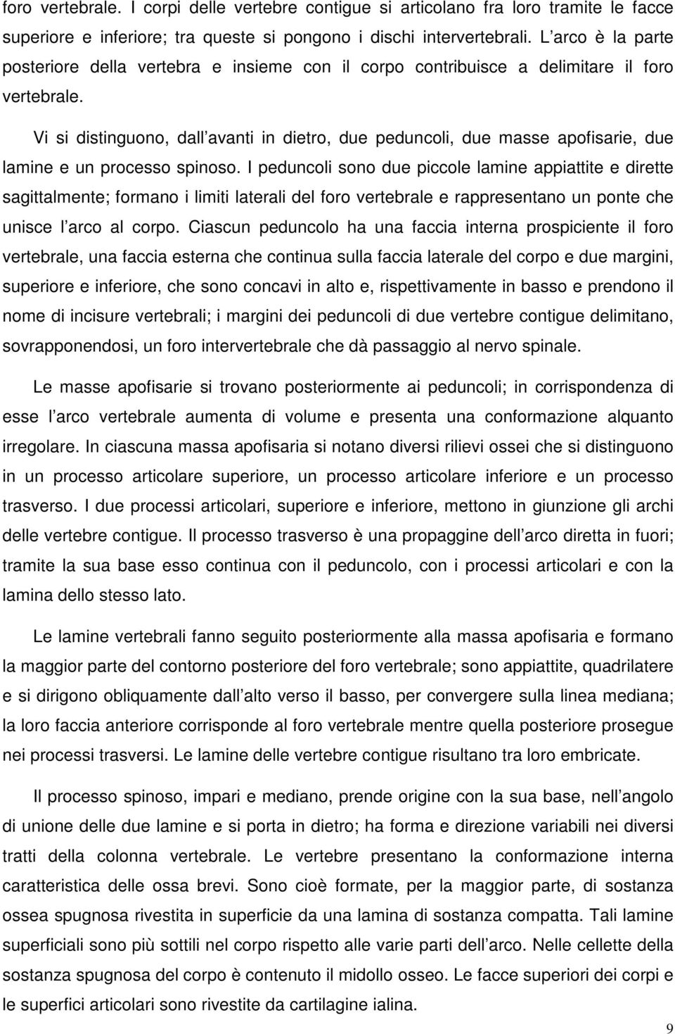 Vi si distinguono, dall avanti in dietro, due peduncoli, due masse apofisarie, due lamine e un processo spinoso.