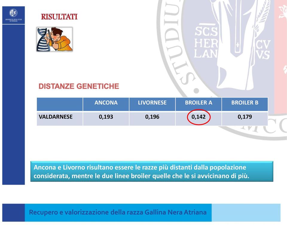 le razze più distanti dalla popolazione considerata,