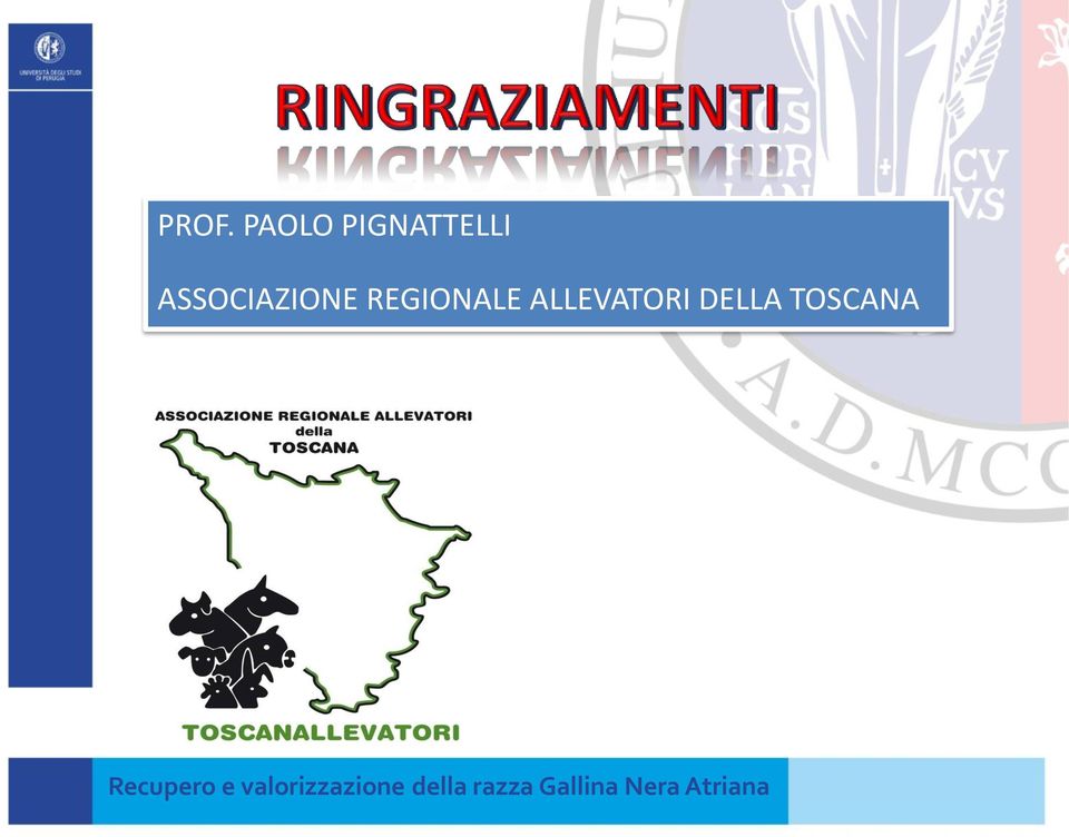 ASSOCIAZIONE