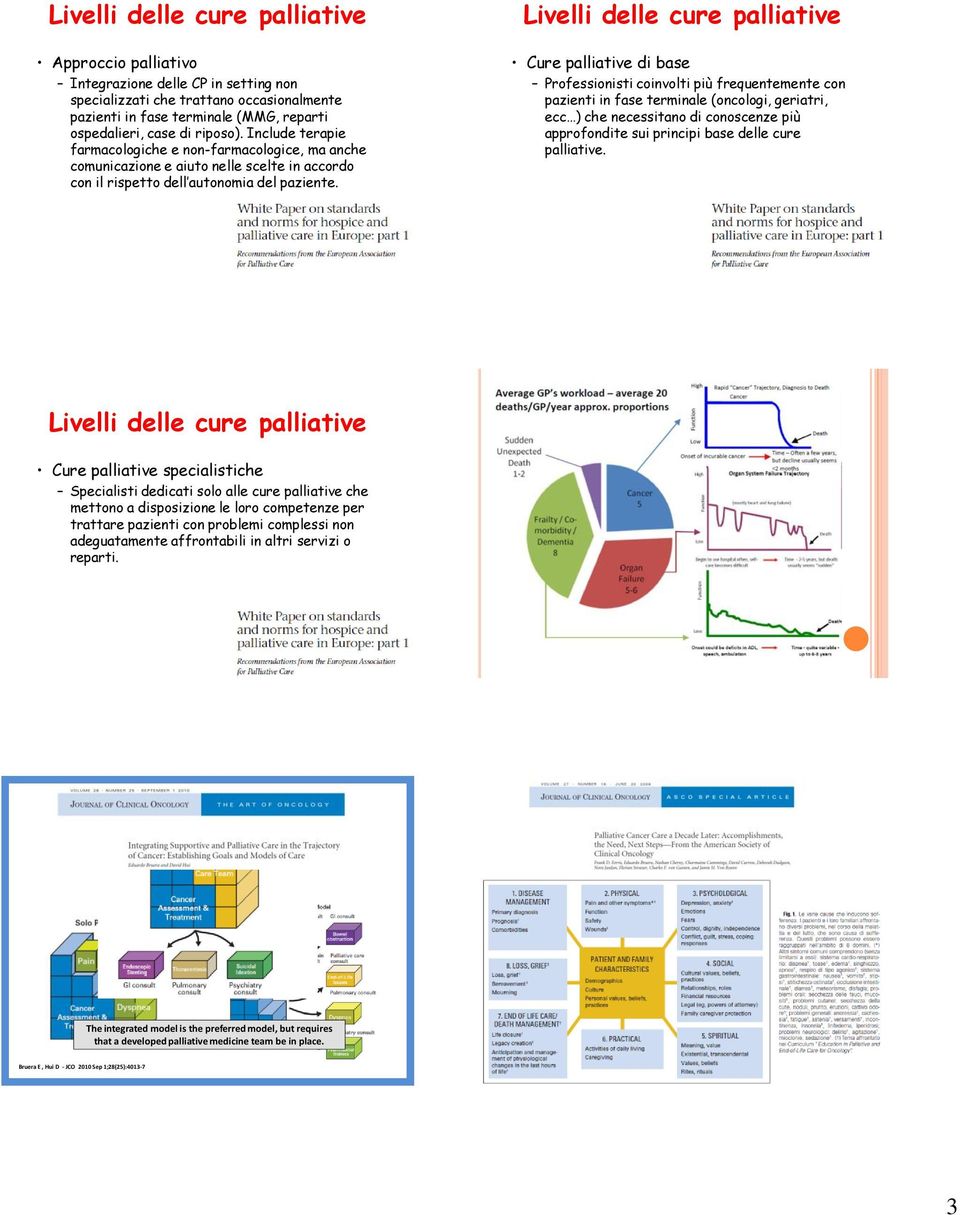 Livelli delle cure palliative Cure palliative di base Professionisti coinvolti più frequentemente con pazienti in fase terminale (oncologi, geriatri, ecc ) che necessitano di conoscenze più