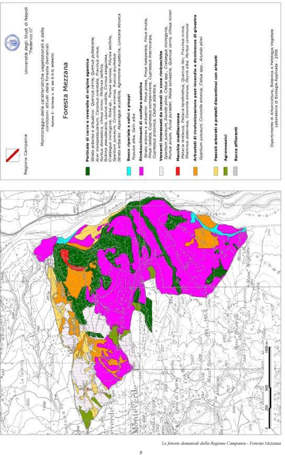 Regione