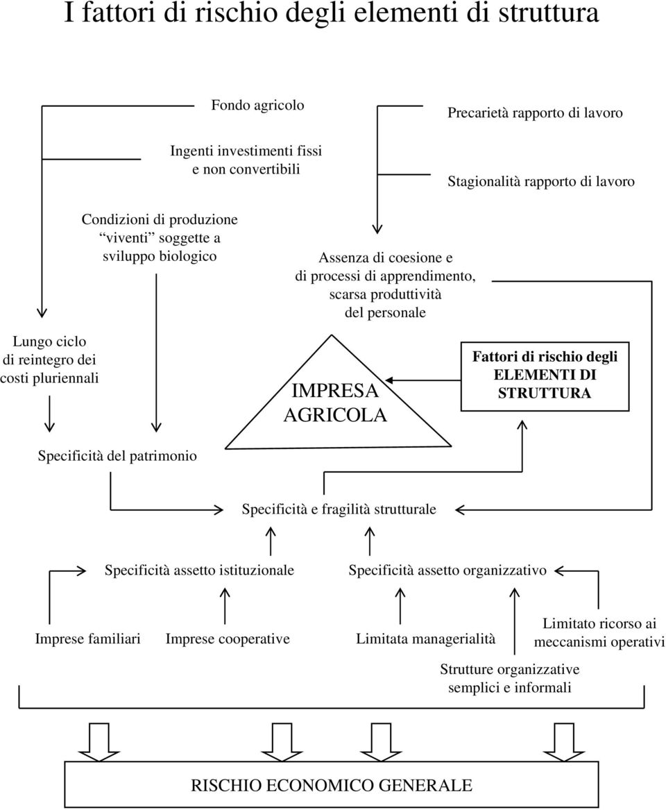 costi pluriennali Specificità del patrimonio Fattori di rischio degli ELEMENTI DI STRUTTURA Specificità e fragilità strutturale Specificità assetto istituzionale Specificità