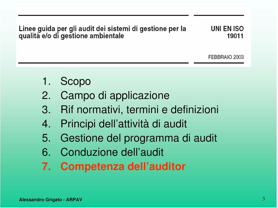 Principi dell attività di audit 5.