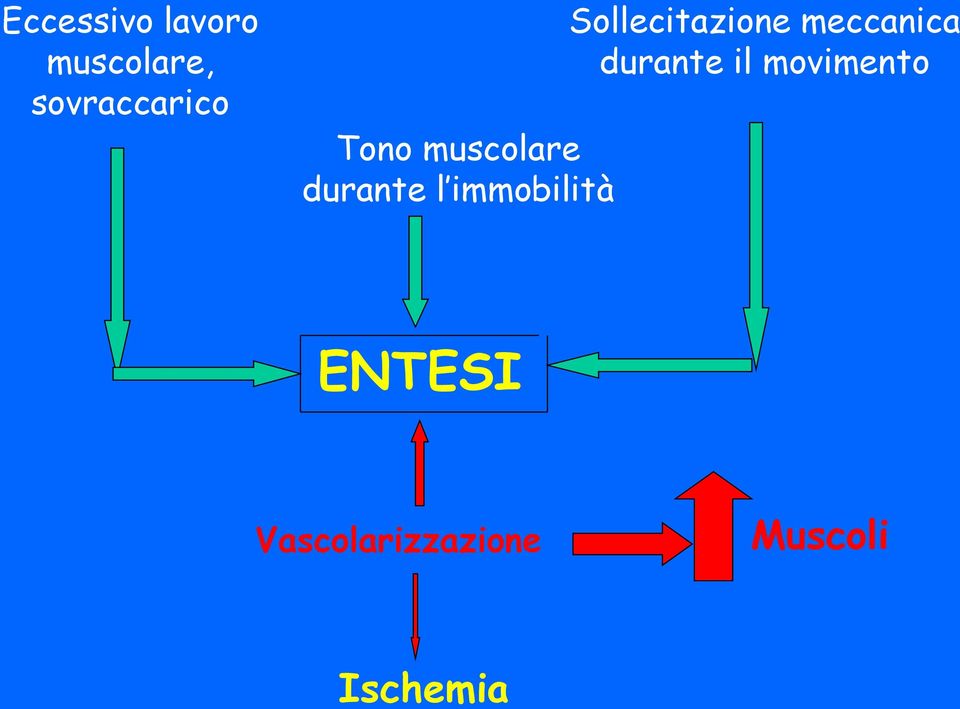 Sollecitazione meccanica durante il