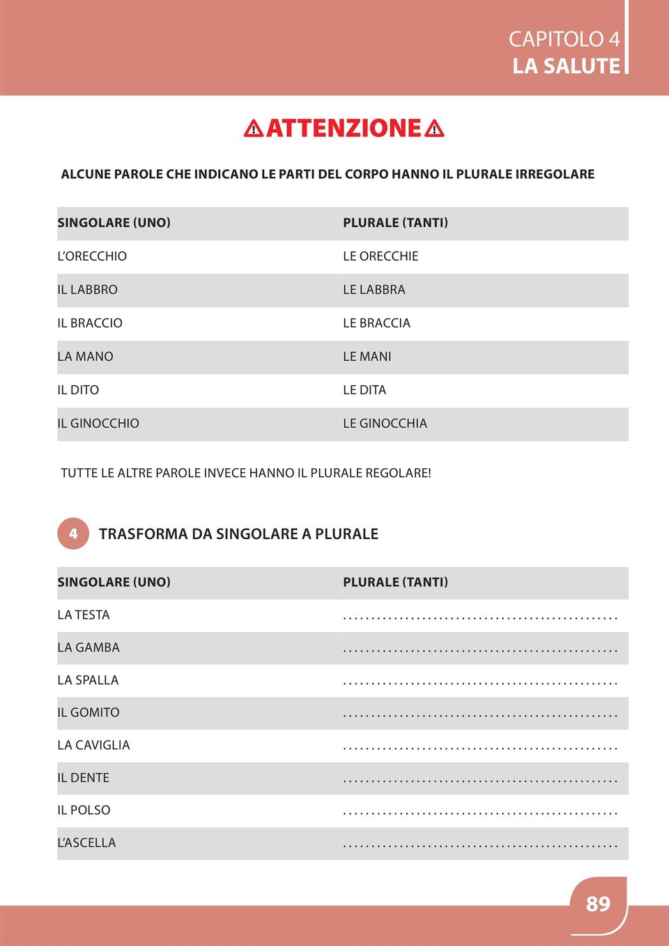 LE ALTRE PAROLE INVECE HANNO IL PLURALE REGOLARE! 4 TRASFORMA DA SINGOLARE A PLURALE SINGOLARE (UNO) PLURALE (TANTI) LA TESTA.