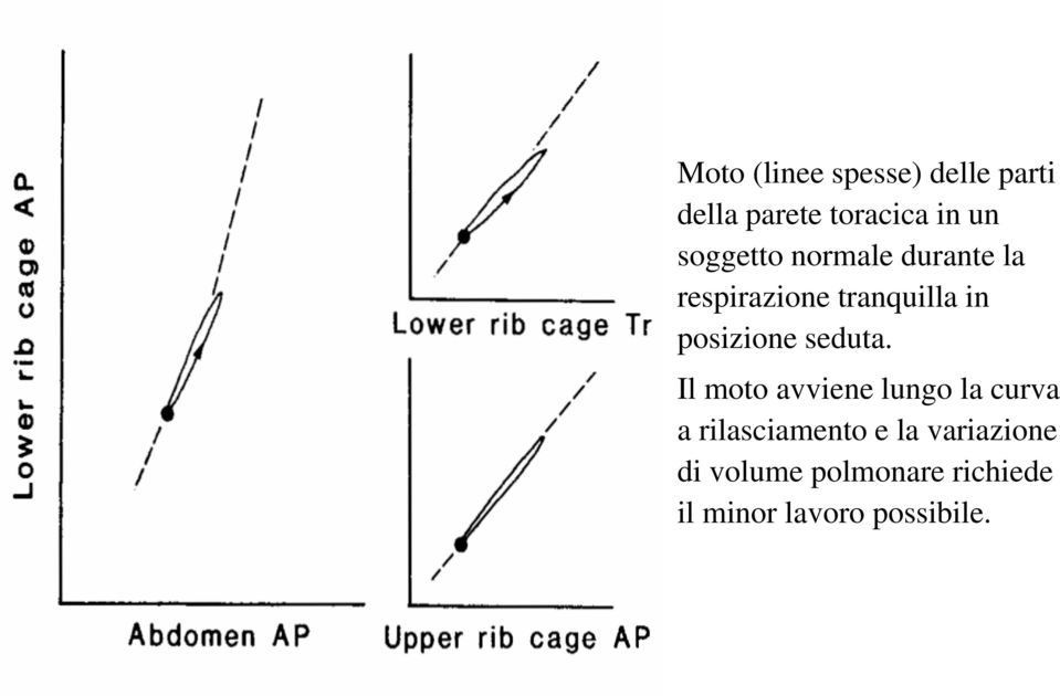 posizione seduta.