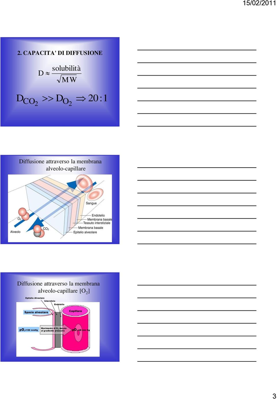 alveolo-capillare [O 2 ] Epitelio Alveolare Interstizio Endotelio Spazio
